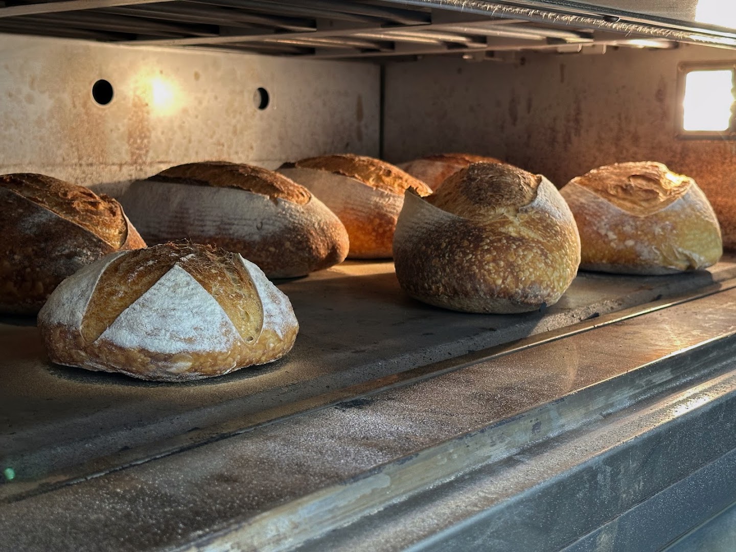 Zampa Forno Etico