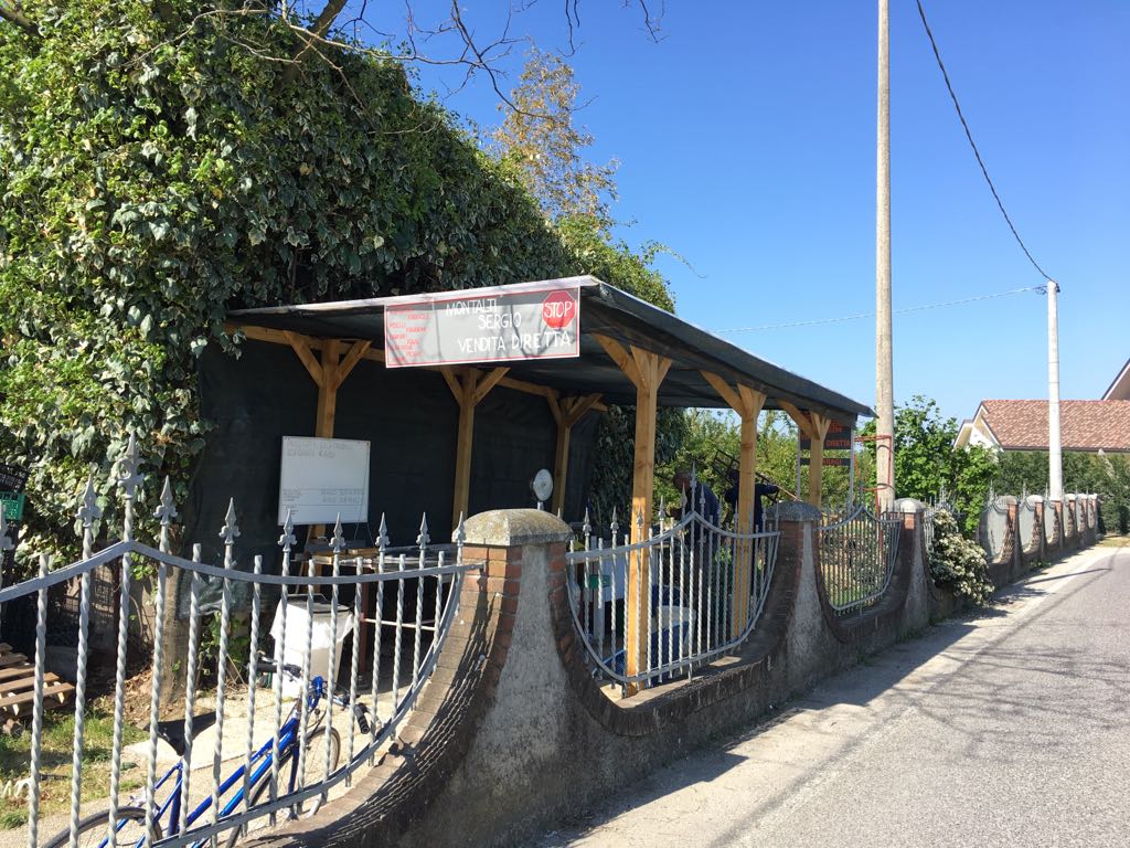 Zamparon di Montalti Sergio vendita diretta