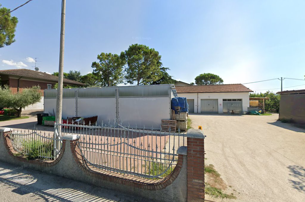 Zamparon di Montalti Sergio vendita diretta