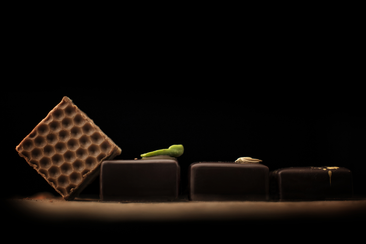 Ziccat - L'arte del cioccolato dal 1958