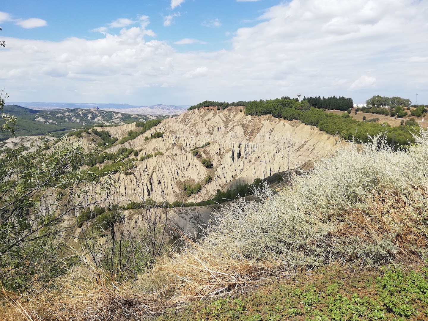 Zirlìo - Visite guidate e viaggi culturali a Matera, in Puglia e Basilicata