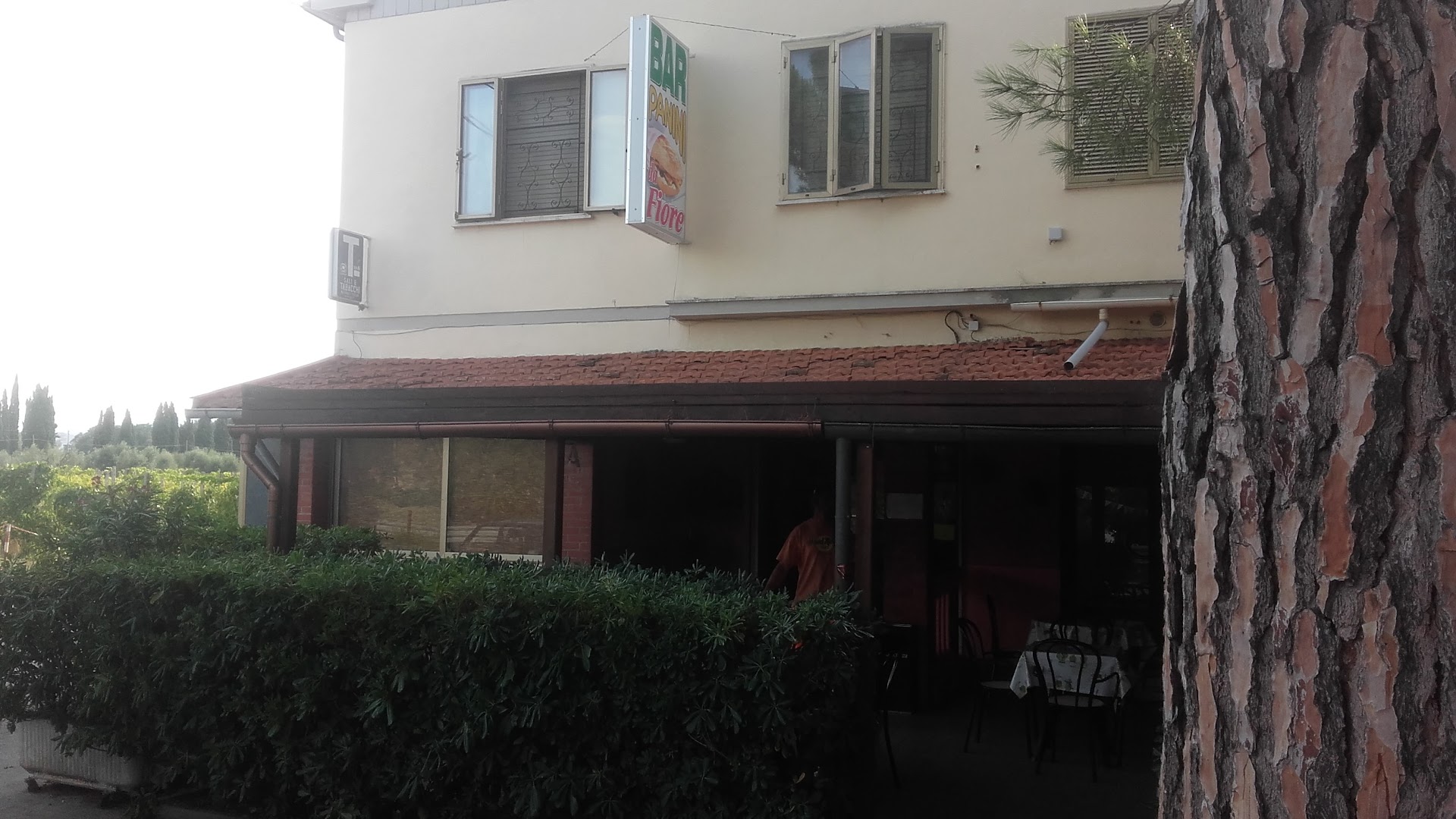 ZONA Cecina