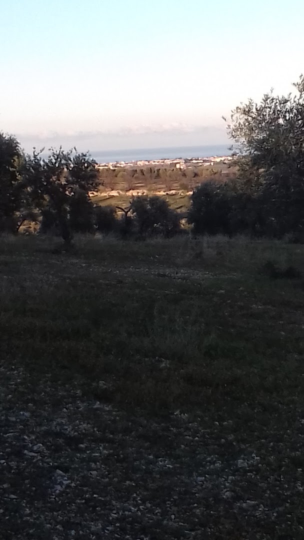 Zona Rurale 310/A occhio mininno agriturismo, Ruvo di Puglia