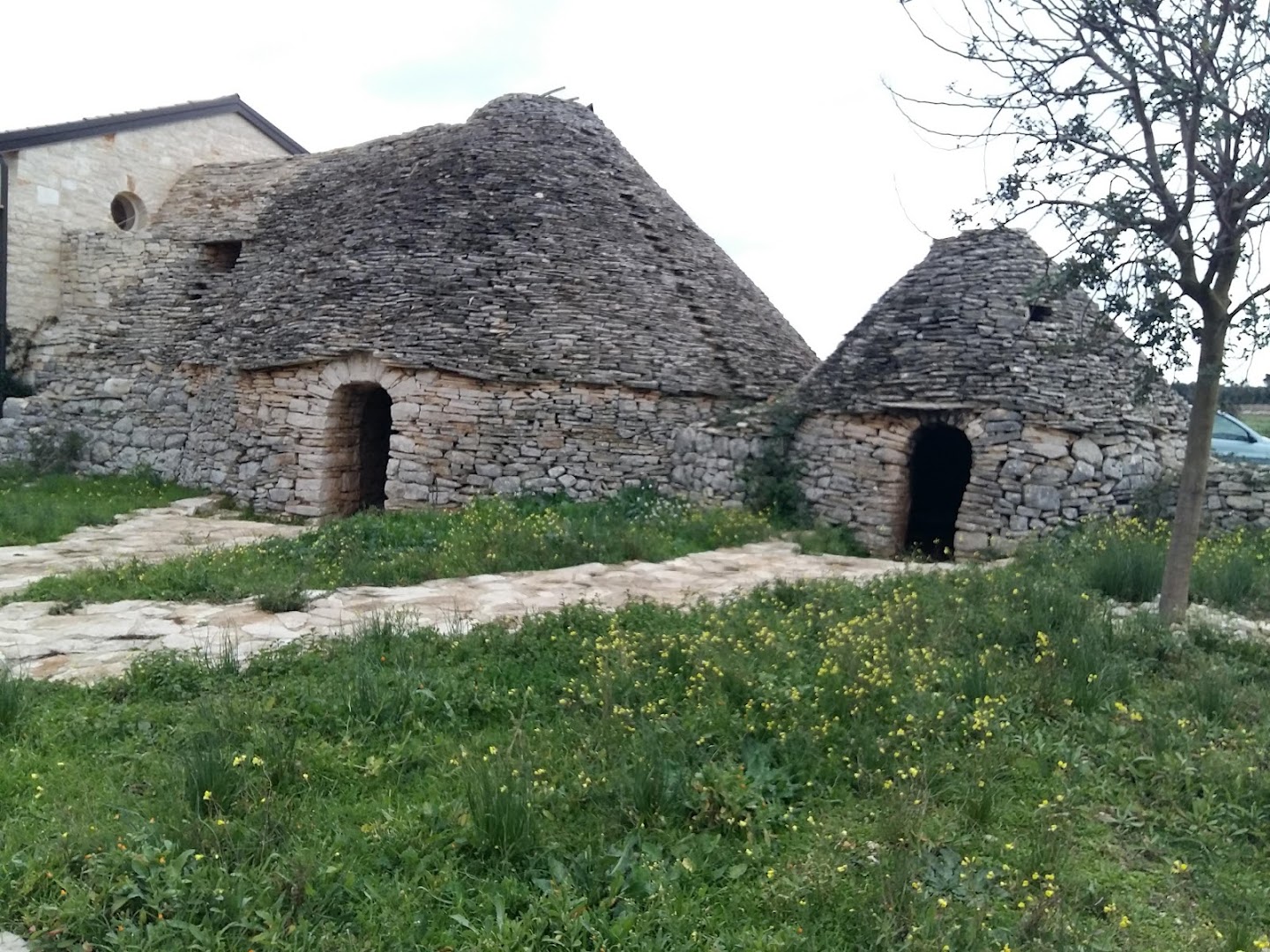 Zona Rurale 310/A occhio mininno agriturismo