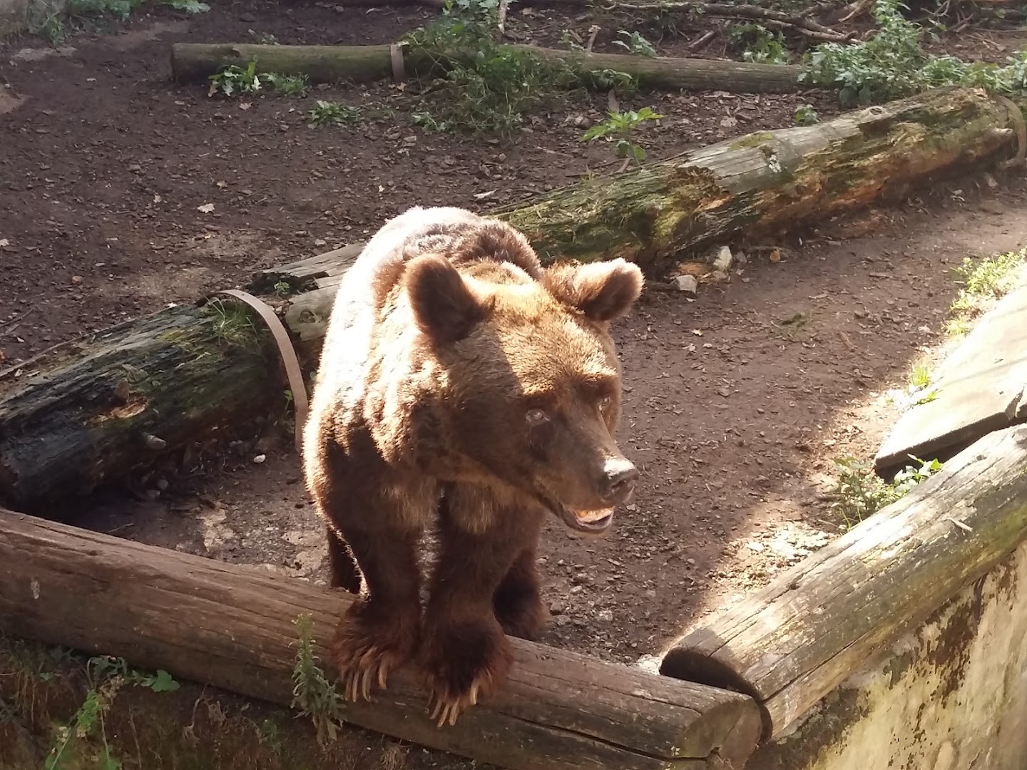 Zoo di Poppi