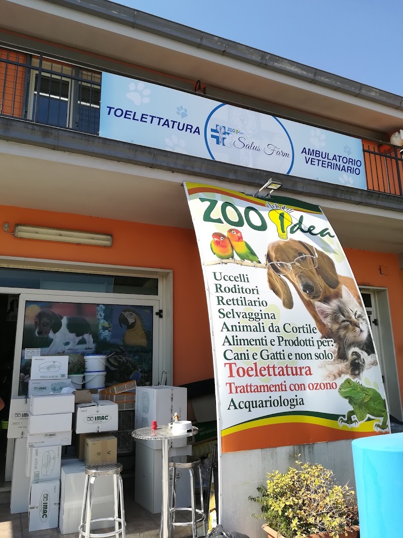 Zooidea Di Tiziana Zolli, Ceccano