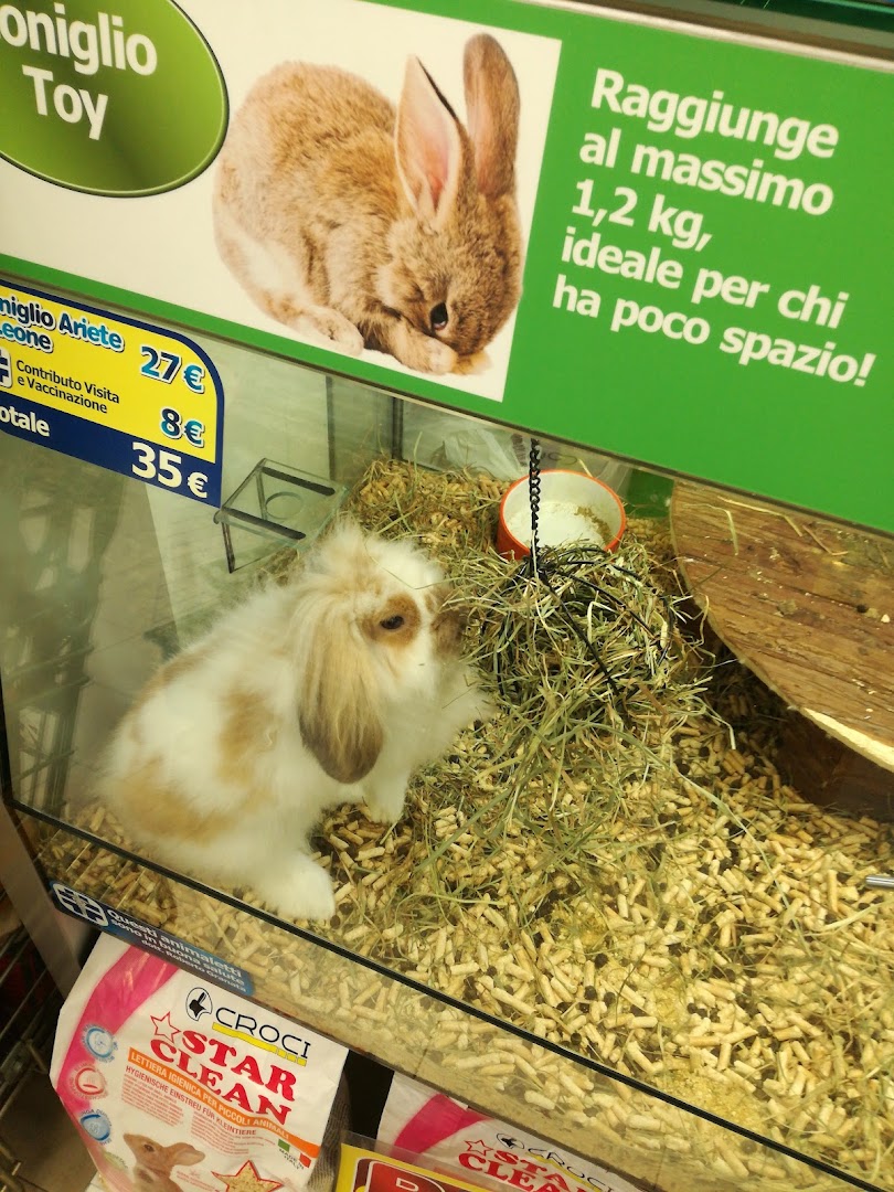 Zoomegastore Castelletto