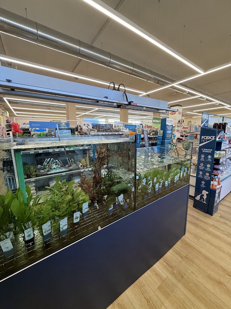 Zoomegastore Castelletto