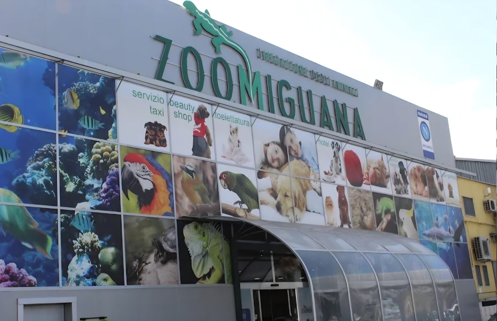 Zoomiguana Il Megastore Degli Animali