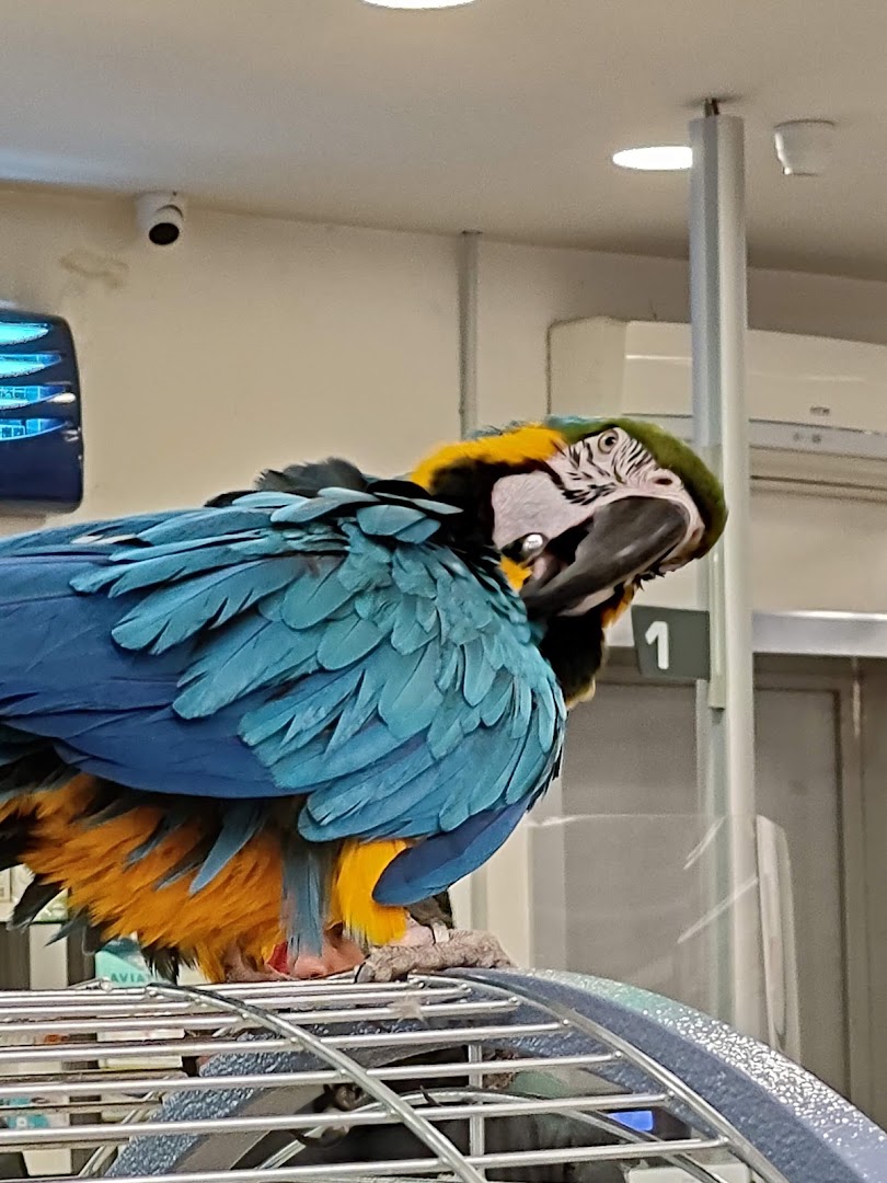 Zoomiguana Il Megastore Degli Animali