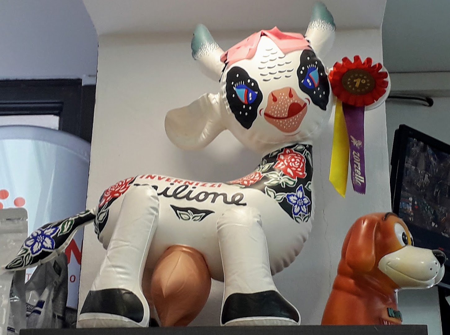 ZorzellaPetShop